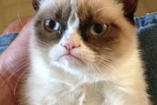 7 Neck Exercises Every Giraffe Learns at Birth Chiropractor in Fargo