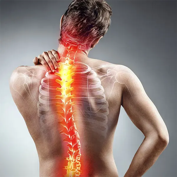 Chiropractic BioPhysics Service Near Me in Fargo, ND. Certified BioPhysics Chiropractor.